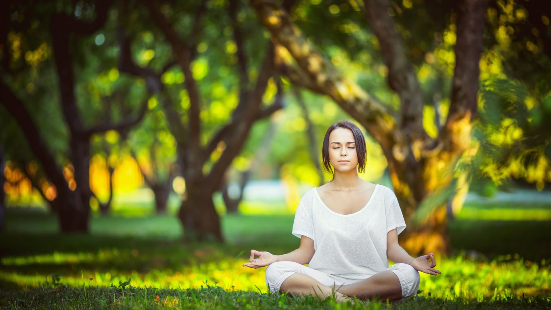 爱游戏(ayx)中国体育-跨界巅峰，Doinb刷新纪录惊艳联盟，湖人新生代未来可期